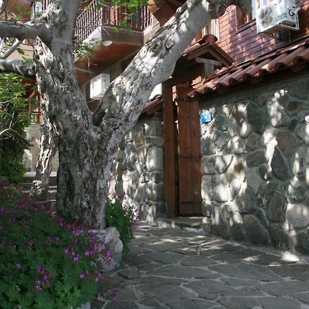 Guestrooms Durna 索佐波尔 外观 照片